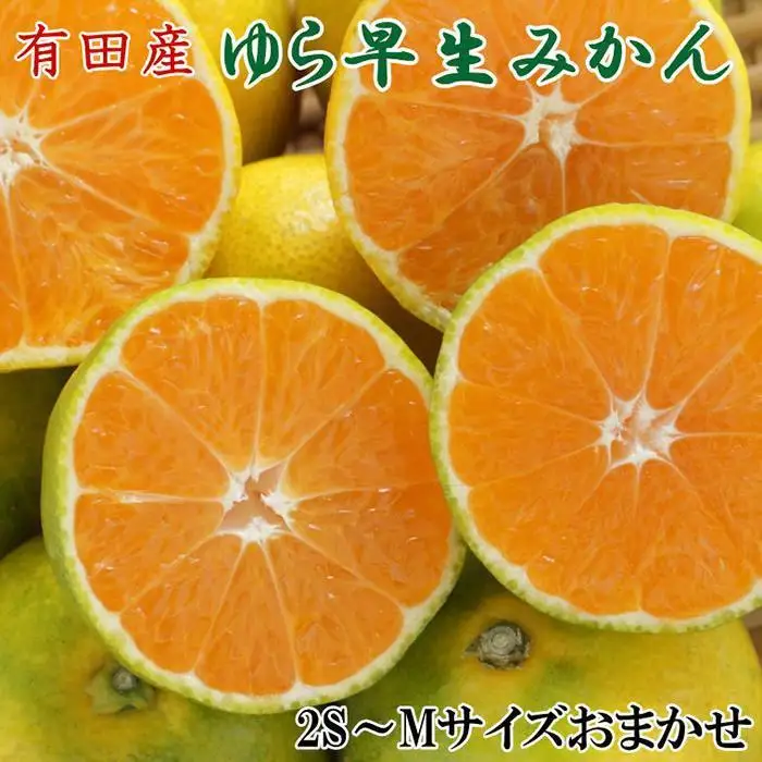 ［極早生みかんの逸品］和歌山県産ゆら早生みかん約5kg★2026年10月中旬頃より順次発送［TM120］