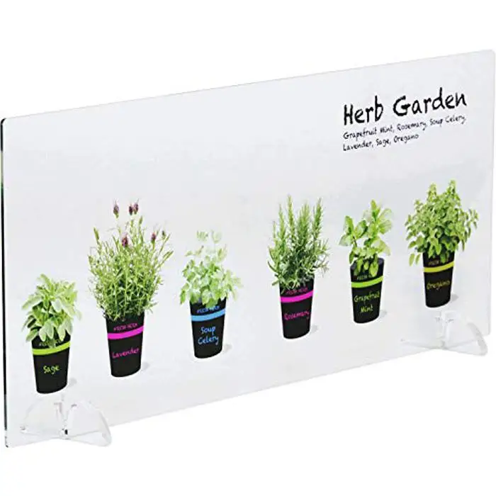 キッチン水はねガード アクリルボード 植木鉢ハーブ 60cm