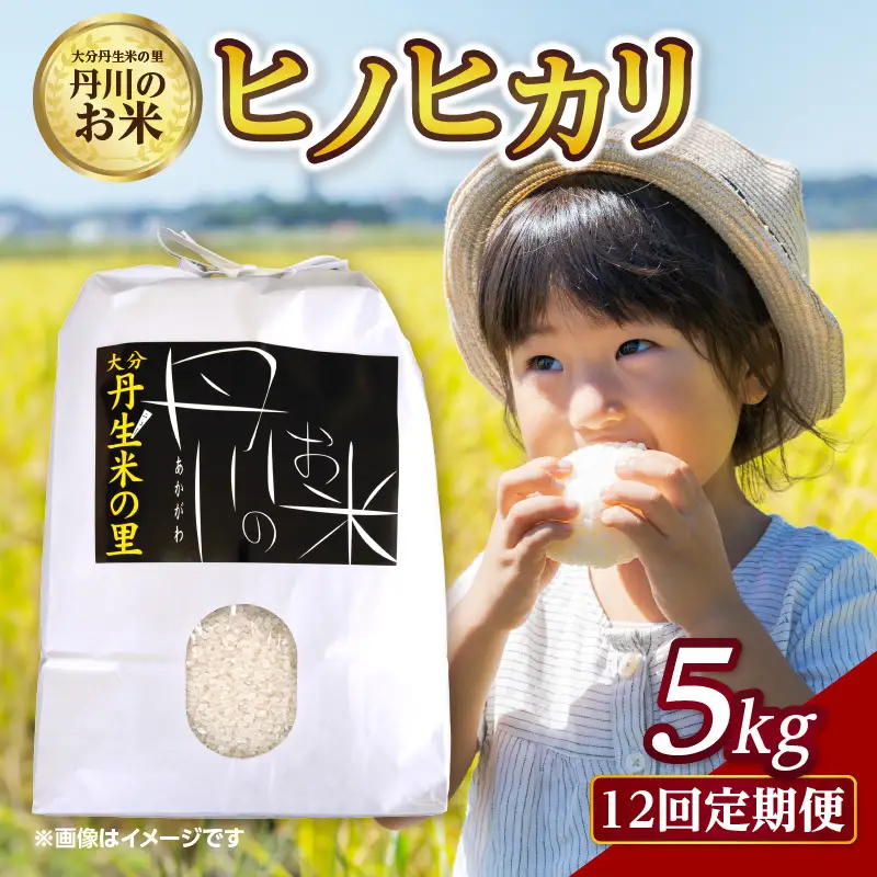【定期便】丹生米の里 丹川のお米 ヒノヒカリ白米 5kg×12回 B01024