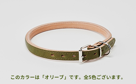 首輪goodcollar犬猫ペット用品首輪【7号】 オリーブ