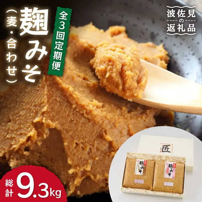 麹味噌 詰合わせ（麦・合わせ）定期便（3回／年） [CA04] 