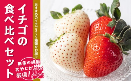 イチゴの食べ比べセット【令和3年2月から順次お届け】