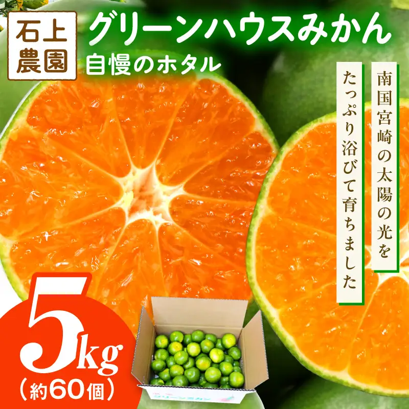 石上農園自慢のホタル（グリーンハウスミカン）5kg_K011-003