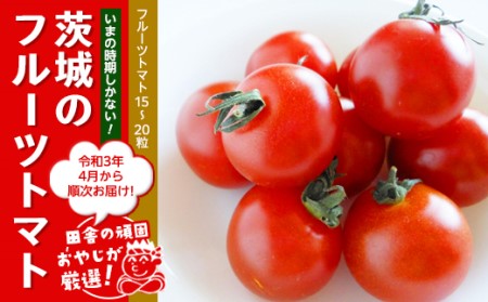 この時期にしかない茨城のフルーツトマト！【令和3年4月から順次お届け】 野菜