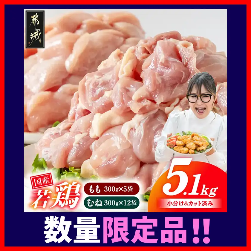 鶏肉【数量限定】国産若鶏5.1kg〔14E-33-007-N5100g〕鶏肉 | 宮崎県都