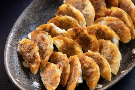 居酒屋のおかあちゃん手作り ひと口味噌ぎょうざ 100個(20個×5袋) H136-033
