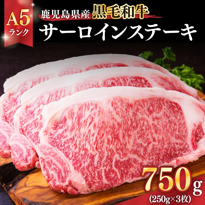 1398-1 鹿児島県産黒毛和牛A5ランクサーロインステーキ 750g（250g×3枚） KN041-001-02 肉 牛肉 冷凍