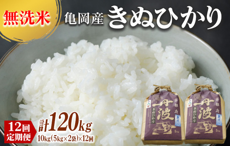 定期便 無洗米 10kg 12ヶ月 京都丹波産 キヌヒカリ 12回定期便 10kg （5kg×2袋） ×12回 計120kg 
