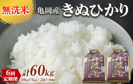 定期便 無洗米 10kg 6ヶ月 配送時期が選べる 京都丹波産 キヌヒカリ 6回定期便 10kg （5kg×2袋） ×6回 計60kg