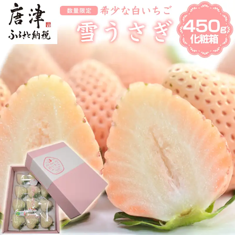 『先行予約』【令和9年1月より順次発送】白いちご 雪うさぎ 450ｇ入り化粧箱（佐賀県唐津市限定生産）