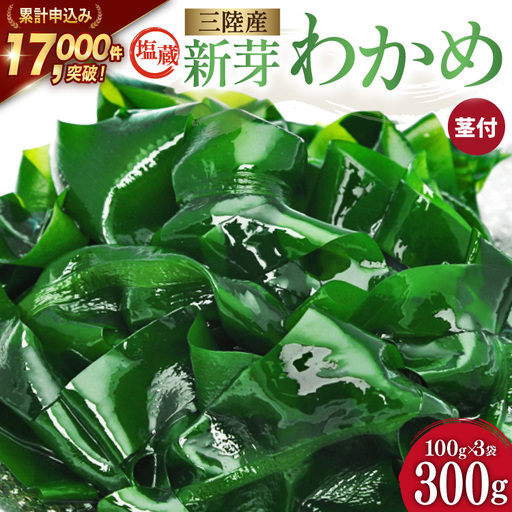 新芽わかめ 300g(約100g×3袋) わかめ 