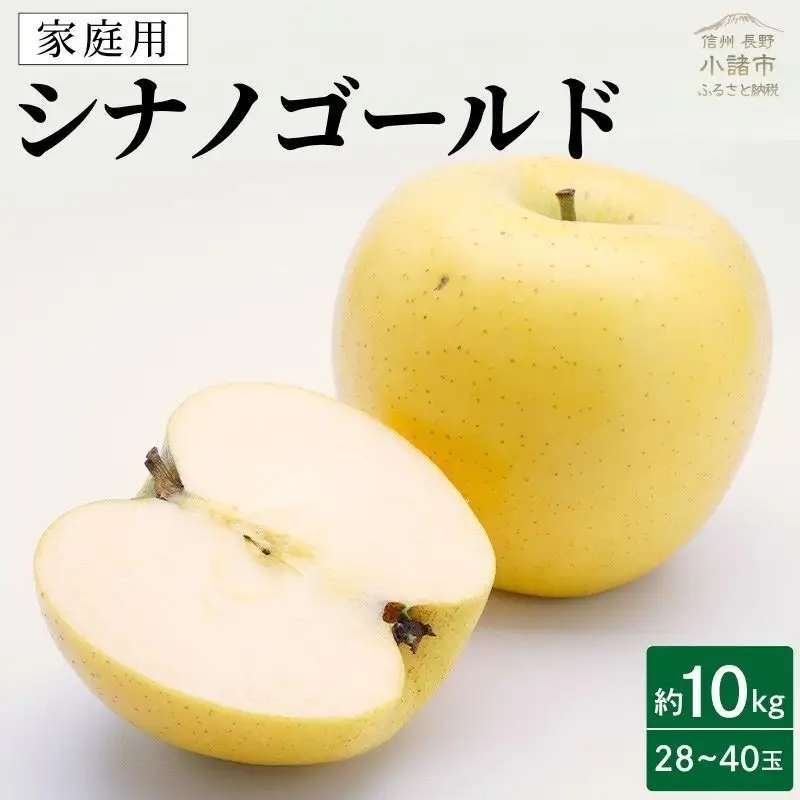 りんご シナノゴールド 約10kg 28～40玉入 リンゴ