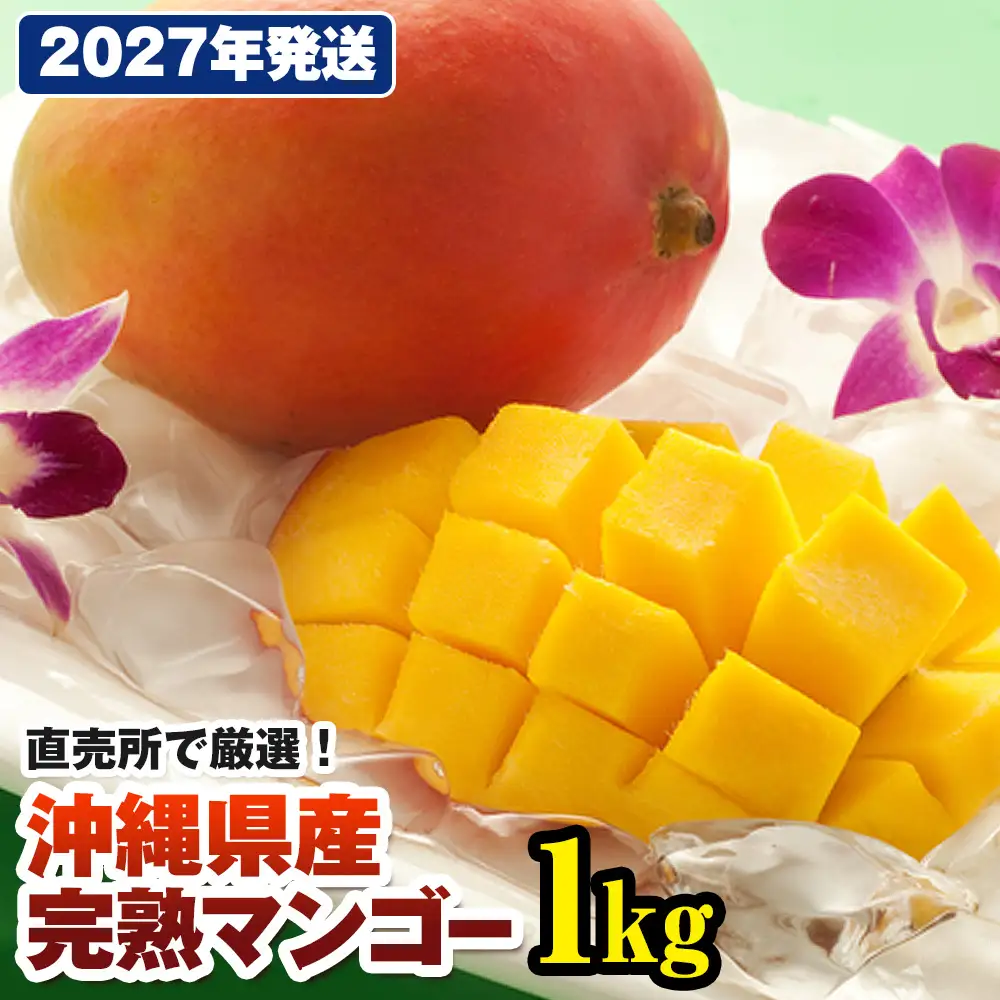 【2027年発送】直売所で厳選 沖縄県産「完熟マンゴー」1kg