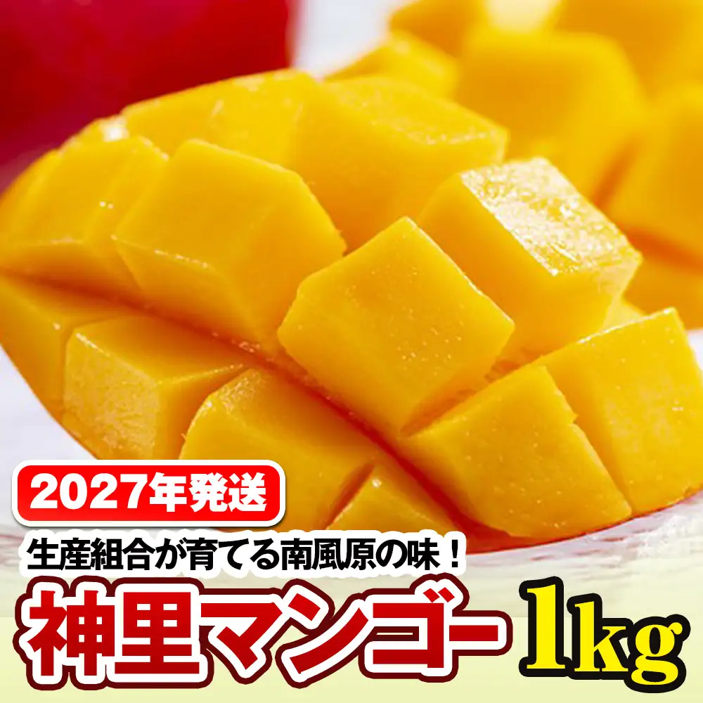 【2027年発送】生産組合が育てる南風原の味 神里マンゴー1kg