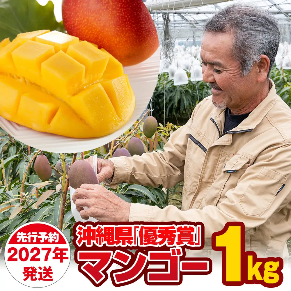 【2027年発送】芳醇な香り とろける食感 沖縄県「優秀賞」マンゴー1kg