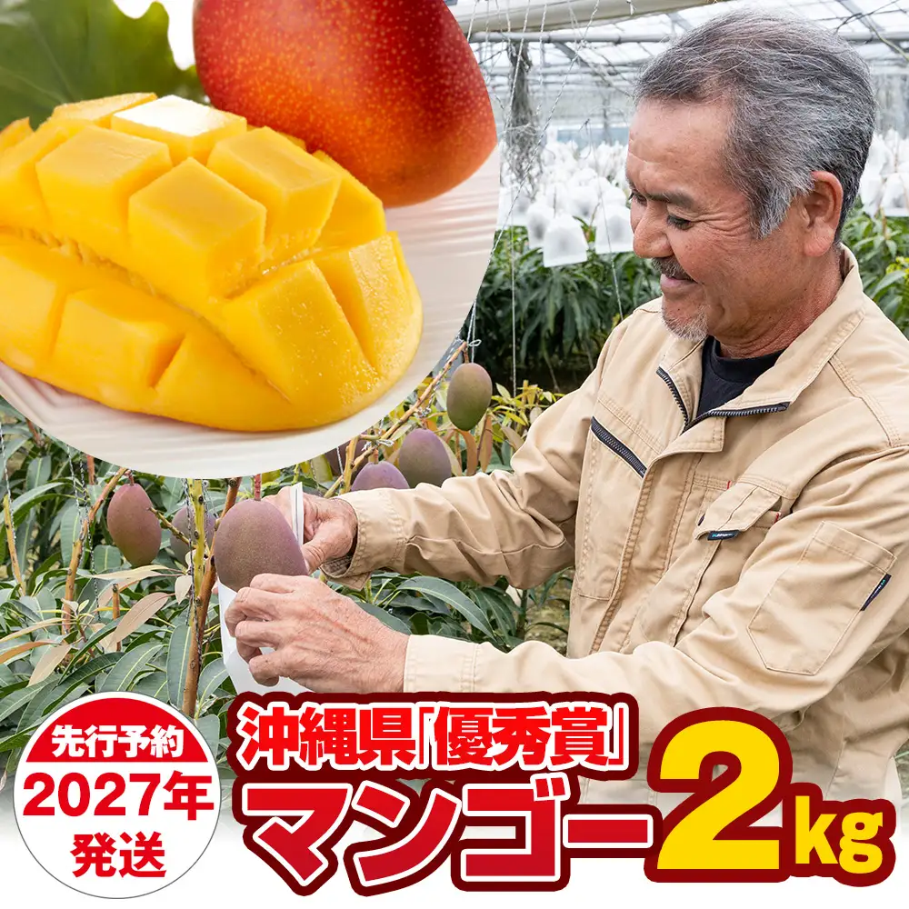 【2027年発送】芳醇な香り とろける食感 沖縄県「優秀賞」マンゴー2kg