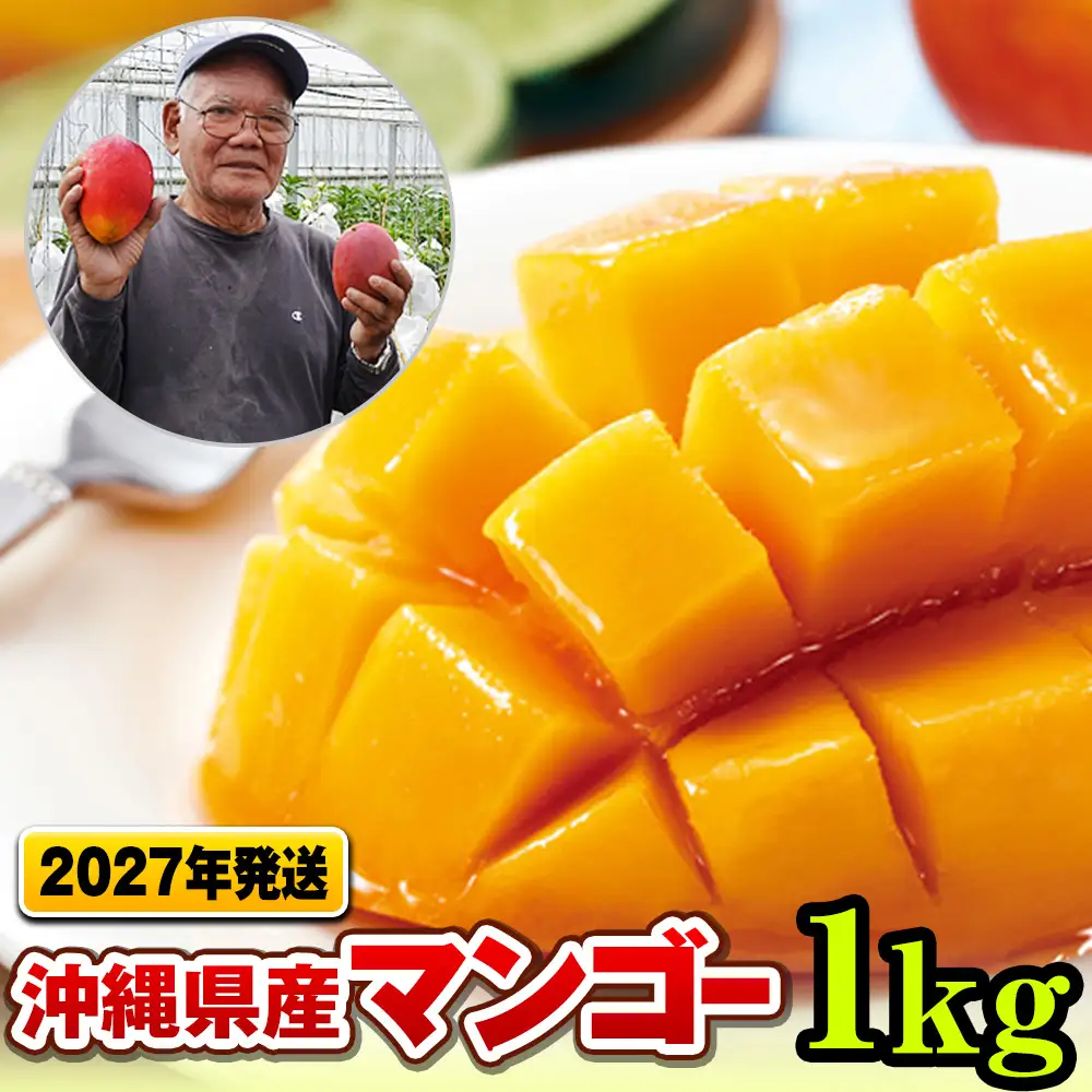 【2027年発送】濃厚な甘さ！とろける食感！沖縄県産マンゴー1kg