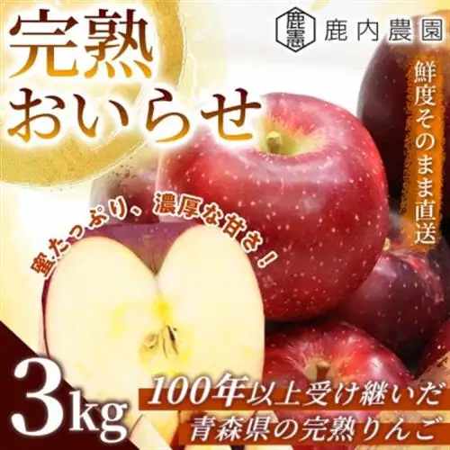 【蜜入りで濃厚な甘さ】りんご 「完熟おいらせ」(冷蔵) 約3kg (約8～11個) 青森市 産地直送_果物・フルーツ りんご  リンゴ 林檎_【配送不可地域：離島・沖縄県】【1073683】