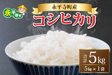 【白米】令和7年度産 永平寺町産 コシヒカリ 5kg ５キロ 5kg 米  米 お米 コメ 送料無料 コシヒカリ 福井　A-033002