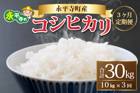 3ヶ月定期便 白米 令和7年度産 永平寺町産 コシヒカリ 10kg×3ヶ月 計30kg １０キロ 10kg 米  米 お米 コメ 送料無料 こしひかり 福井 [F-033021]