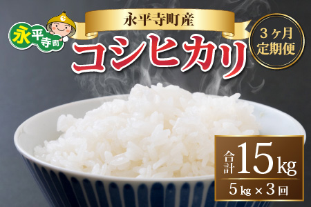 3ヶ月定期便 白米 令和7年度産 永平寺町産 コシヒカリ 5kg×3ヶ月 計15kg 5キロ 5kg 米  米 お米 コメ 送料無料 こしひかり 福井　D-033083