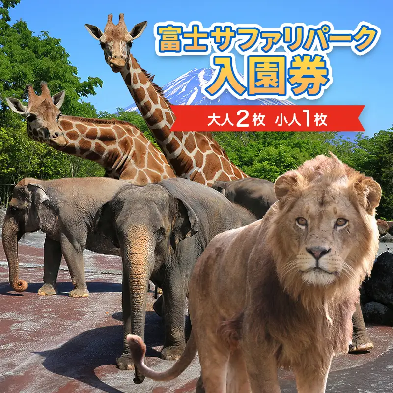 動物園 静岡 富士サファリパーク 大人 2枚 小人 1枚 入場券 サファリパーク 動物 子供 家族 お出かけ チケット 券 ギフト券 体験チケット ギフト プレゼント 贈答 贈答品 贈り物 旅行 観光 入園券 優待券 静岡県 裾野 裾野市