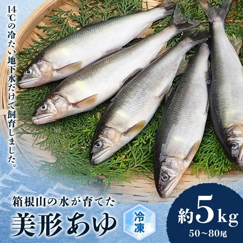 鮎 箱根の水が育てた 美形 あゆ 約5kg 50～80尾 魚 魚介 魚介類 鮮魚 川魚 生魚