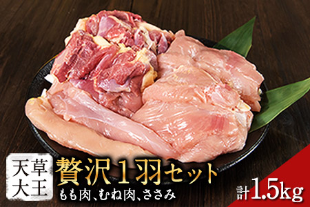 天草大王 贅沢1羽セット 約1.5kg【幻の地鶏】もも・むね・ささみ 各2枚《60日以内に出荷予定(土日祝除く)》
