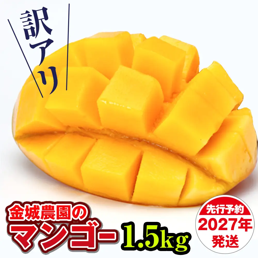 【訳あり】2027年発送 金城農園のマンゴー1.5kg