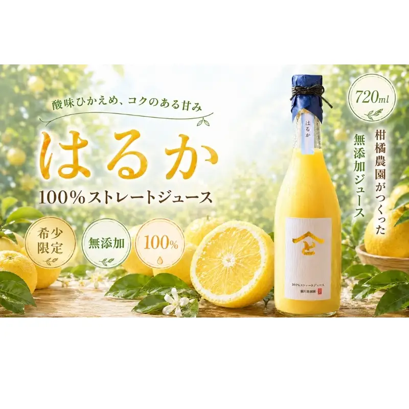 みかんジュース はるか 無添加ストレート 果汁飲料 みかんジュース【720ml】