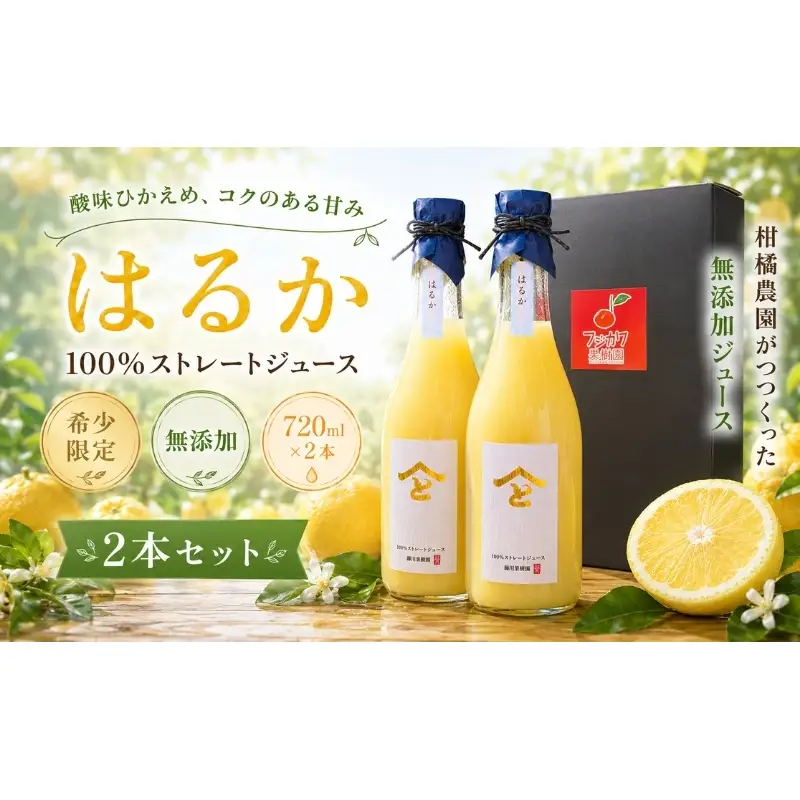 みかんジュース はるか 無添加ストレート 果汁飲料 みかんジュース【720ml×2本】