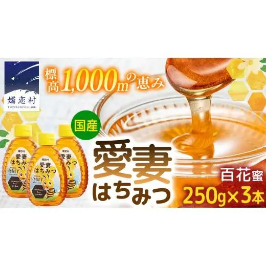愛妻はちみつ（百花）250g 3個セット [AC002tu]