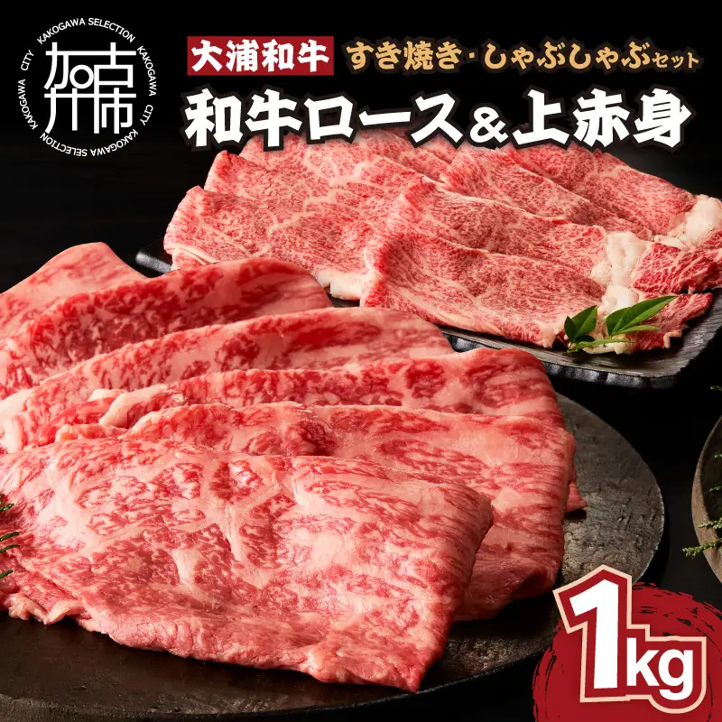 大浦和牛すきやき・しゃぶセット(1kg)【2405A00207】
