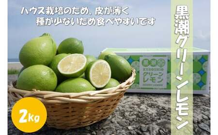 温室 グリーン レモン 2kg 黒潮町産 ［1309］
