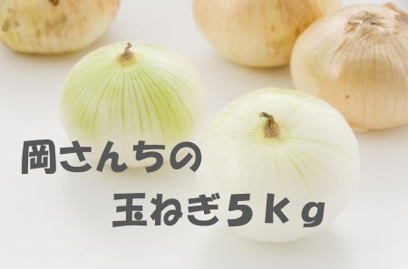 BE030_佐賀県みやき町岡さんちのたまねぎ5kg【２L、３Lサイズ】