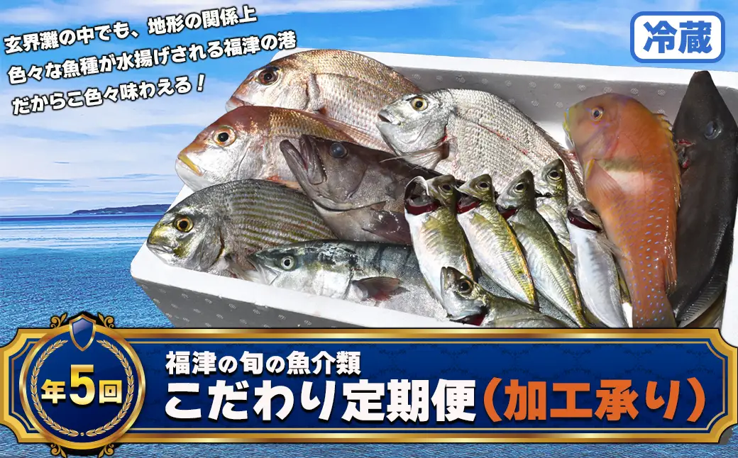 【年5回】福津の旬の魚介類こだわり定期便【加工承り】【随時開始】[H7018]