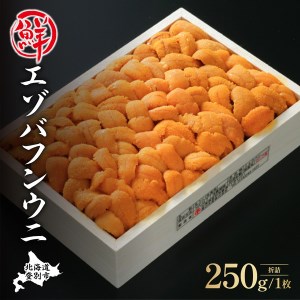 特選エゾバフンウニ折詰250g！！ウニ丼約3杯分 A 23年6月上旬～8月中旬迄