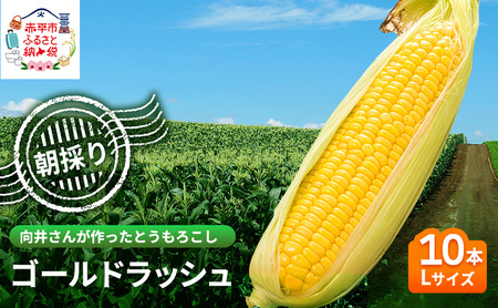 とうもろこし ゴールドラッシュ【Lサイズ10本】【先行予約】