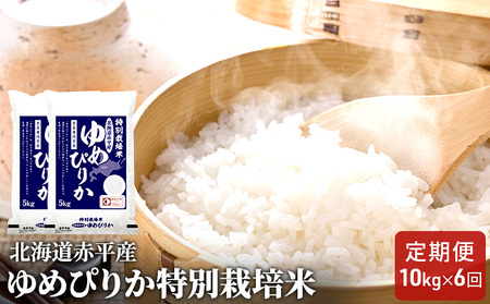 北海道赤平産 ゆめぴりか 10kg (5kg×2袋) 特別栽培米 【6回お届け】 米 北海道 定期便 お米 