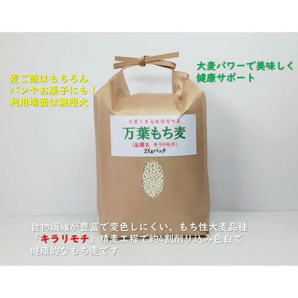 令和8年産 万葉の里鳥取市国府町産「万葉もち麦」2kg