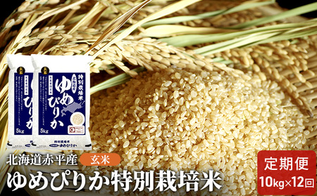 玄米 北海道赤平産 ゆめぴりか 10kg (5kg×2袋) 特別栽培米 【12回お届け】 米 北海道 定期便 ふるさと納税 お米 