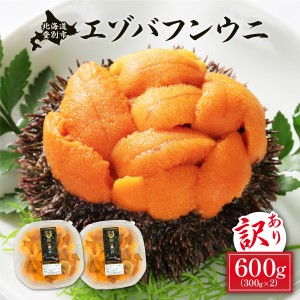 ≪規格外品600g≫無添加エゾバフンウニ塩水パック600g A 23年6月上旬～8月中旬迄