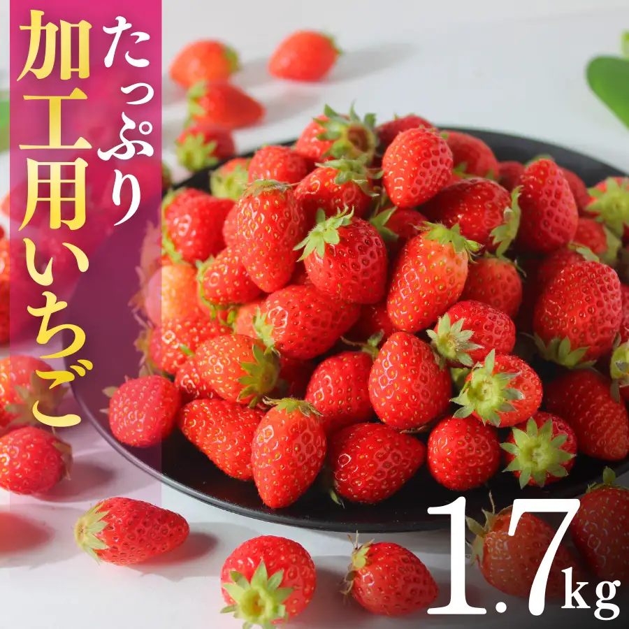 いちご【2027年発送】加工用いちご 1.7kg