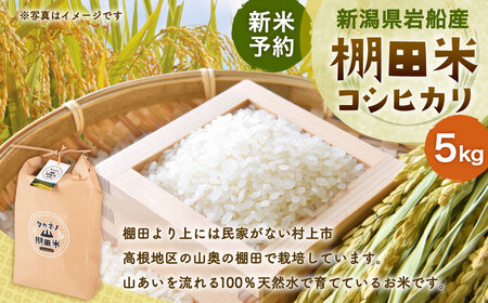 【新米受付・令和8年産米】NA4038 新潟県村上市岩船産 棚田米コシヒカリ5kg