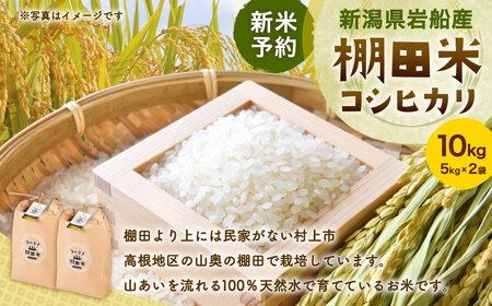 【新米受付・令和8年産米】NB4035 新潟県村上市岩船産 棚田米コシヒカリ5kg×2