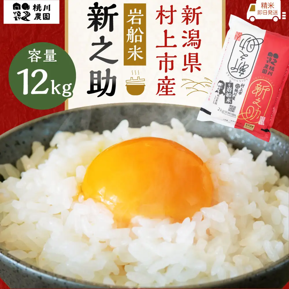 【新米受付・令和8年産米】 新潟県村上市産 特別栽培米新之助12kg NB4073