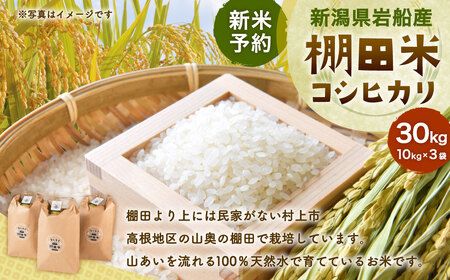 【新米受付・令和8年産米】ND4016 新潟県村上市岩船産 棚田米コシヒカリ10kg×3