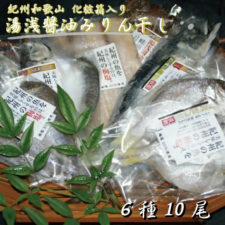 梅塩干物と湯浅醤油みりん干し6品種10尾入りの詰め合わせ【tec201】