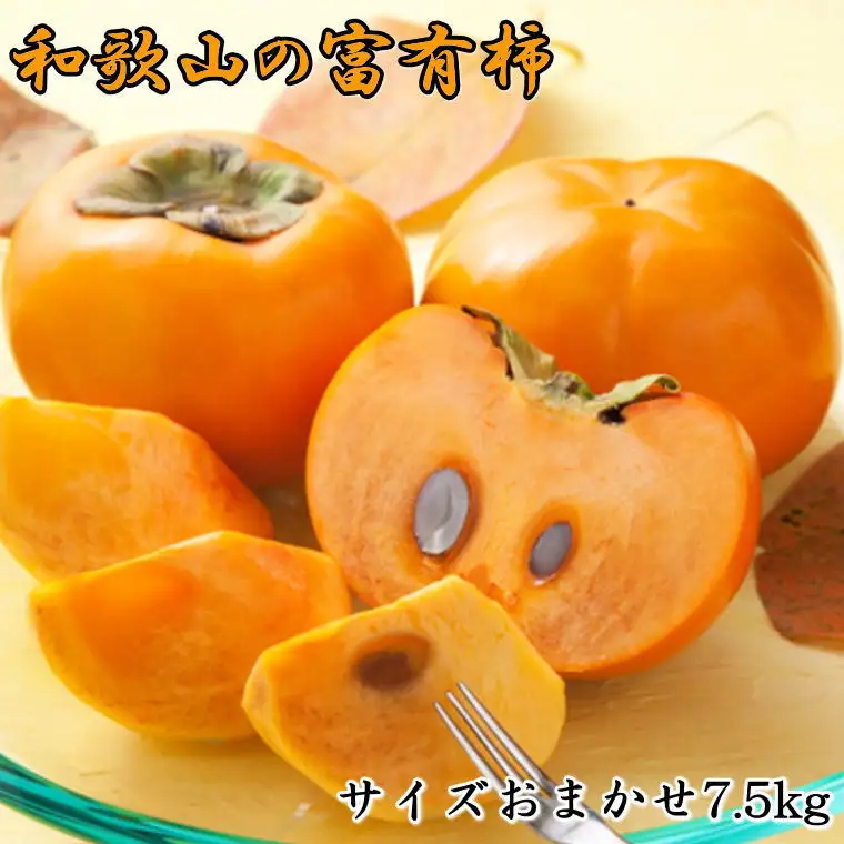 [甘柿の王様]和歌山産富有柿約7.5kgサイズおまかせ※2026年11月上旬～2026年12月上旬頃に順次発送【tec400A】