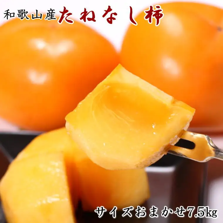 【秋の味覚】和歌山産のたねなし柿約7.5kg(L～4Lサイズおまかせ)※2026年10月上旬～2026年11月上旬頃順次発送【tec402B】